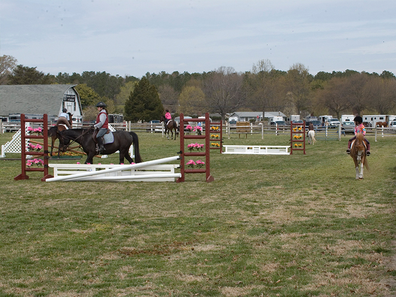 two people on horses jumping over obstacles