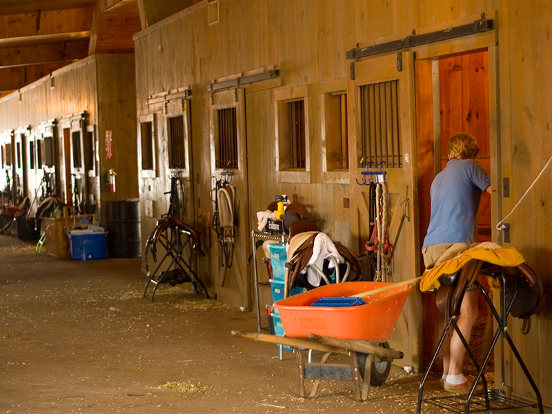a woman is standing in a barn with her horse