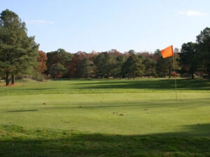 a golf course with a flag and trees in the background